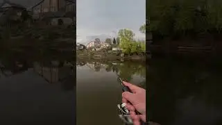 Лещ на мормышинг 