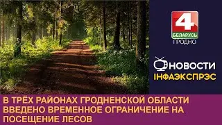 В трёх районах Гродненской области введено временное ограничение на посещение лесов