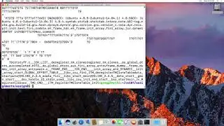 The cat command on linux