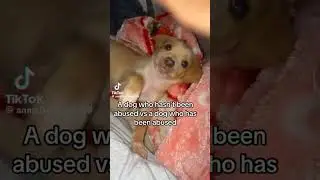 poor baby :[[ || 