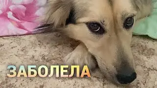 Юка заболела. Просто дневник Константиновой.