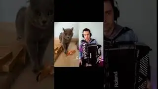 Кот, поющий под баян (Alugalug Cat)