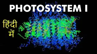 Photosystem 1 क्या है  | Light reaction | Light harvesting complex | Photosynthesis in higher plants