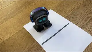 Will EMO Robot Get Confused on the Black Line?