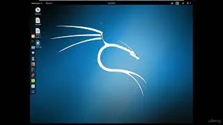kali Linux review