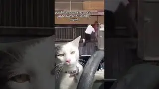 How I pulled up to help when he threw that hat in Montgomery 🤣 #montagevideo #Funny #Viral