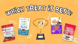 The 4 BEST Cat Treats for Picky Cats (We Tried Them ALL) - Part 1 | Cat Treats Review + Links!