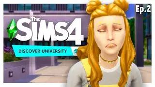 [TS4] Радужное семейство: #2 - СОСНУЛИ И ПОСТУПИЛИ