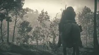 Red Dead Redemption 2