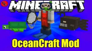 Minecraft Mods:  