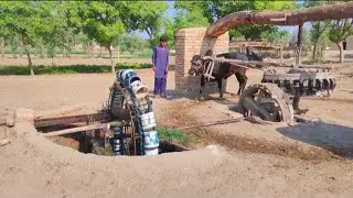 Traditional Irrigation Of Water lifting || Persian Wheel Well || Tindan Wala khuh