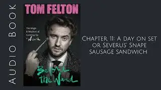 Beyond The Wand | Chapter 11 // AUDIOBOOK