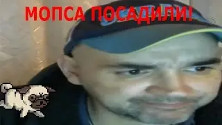 МОПСА ПОСАДИЛИ В ТЮРЬМУ!