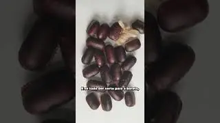 Tem uma ooteca embaixo do seu sofá!