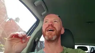 Dogs die in hot cars- my experiment