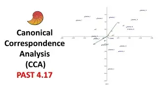 Canonical Correspondence Analysis (CCA) in PAST | Full Guide: Analysis & Interpretation