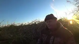 Охота на утку 2023г № 5