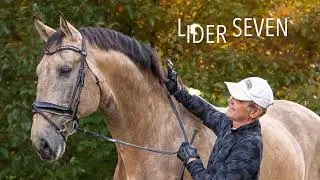 Lider Seven
