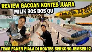 HOW CAN YOU WIN? REVIEW OF THE CHAMPION OF THE BOS BOS QU CONTEST AT THE JEMBER CONTEST