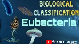 Biological Classification | Part 4: Eubacteria | #neetmotivation #neetbiology #neetpreparation