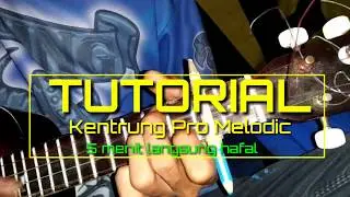 KENTRUNG PRO MELODIC||5menit langsung bisa!!!