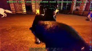 Ark Ragnarok solo pt15 Dire Wolf Pen Building!