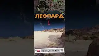ОТЛЕТЕЛ В АНГАР ПО ПРИКАЗУ | 
