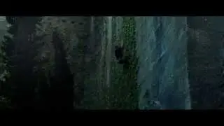 Vrnik-Henry Han