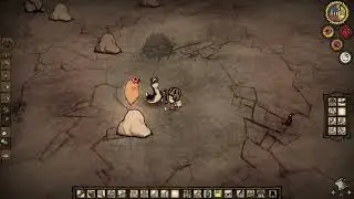 Marotter - Cute but Bad #dontstarvetogether #dst #gameplay