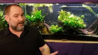 Bacterial Blooms And Cloudy Water: I Was Wrong!