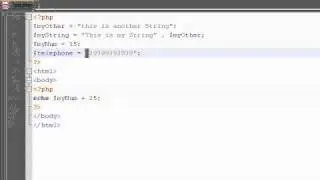PHP Tutorial Video 6: More Variables, Numbers, and Plus Equals Sign