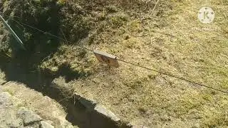 Mi viaje a Sacsayhuaman