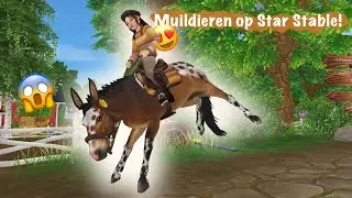 Het MUILDIER KOPEN op STAR STABLE! 😱 || SSO update #70 || Lisa Wiseplate