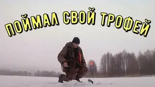 В ГЛУХОЗИМЬЕ ОСТАВИЛ ЖЕРЛИЦЫ НА НОЧЬ И СНОВА ТРОФЕЙНАЯ ЩУКА. зимняя рыбалка.