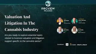 Valuation And Litigation In The Cannabis Industry