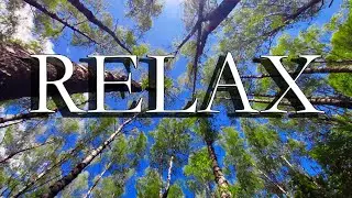RELAX