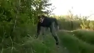 Хахаха