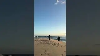 CUTE hawaii couples photoshoot!