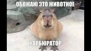 меньше 10 лайков - я ухожу