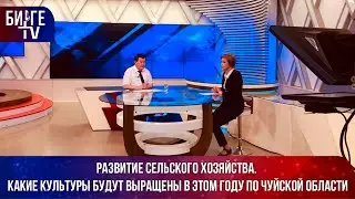 Развитие сельского хозяйства. Какие культуры будут выращены в этом году по Чуйской области