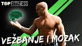 VEŽBANJE I MOZAK I Da li vežbanje povoljno utiče na mozak?