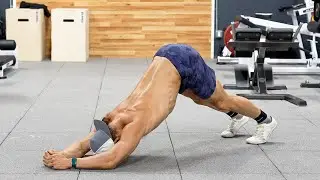 Forearm Plank to Dolphin Pose