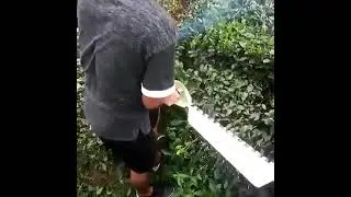 Branch Cutter Garden Pruner Hedge Trimmer