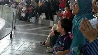 Fatiha, Tasnim and Fakhri - Dolphin Salto