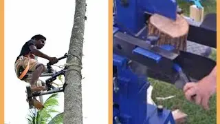 Easy working Models. DIY skills you must watch