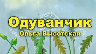 Одуванчик. Ольга Высотская
