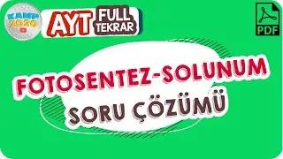 Fotosentez- Solunum Soru Çözümü | AYT Full Tekrar Kampı 2020