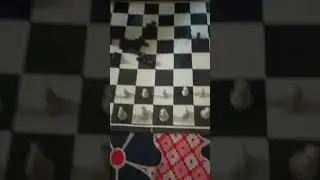 chess ♟️#chess