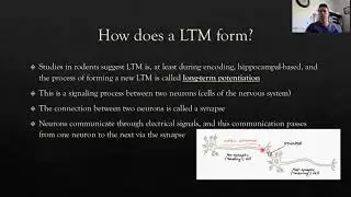 17 Long Term Memory Pt1