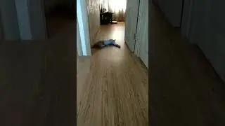 Блокпост